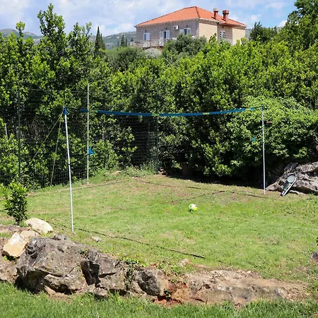 Zadro * Čilipi
